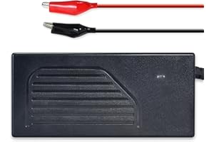 DCHOUSE Chargeur de Batterie au Lithium Automatique Intelligent 4A 12V, spécialement conçu pour Les Batteries LiFePO4 12,8V