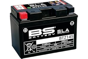 BS Battery 300638 BTZ14S AGM SLA Batterie de Moto Noir 150 x 86 x 110 cm