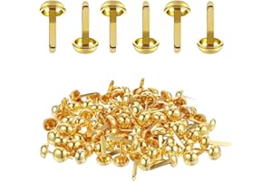 PARFCO Encuadernadores Metalicos, 300 Piezas Tachuela Redonda Dorada, Fasteners Metalicos, Diy Obras de Arte Hechas a Mano, Se Puede Utilizar para Creaciones de Bricolaje