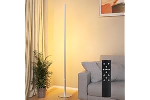 Hzitcigm Lampadaire sur Pied Salon, LED Lampe sur Pied avec Télécommande Réglables Continu Luminosité & Couleurs 2700K-6500K Lampadaire LED D'Angle Moderne Lampadaire Lecture pour Salon Chambre, 147CM