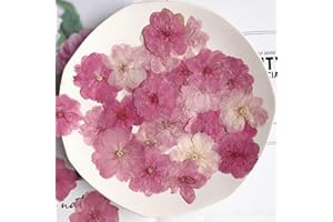 FITUENLY 12 Pezzi di Fiori Pressati Secchi Naturali Sakura Pressata Fiore per Gli Adesivi per Unghie in Resina Artigianato Artigianato Fai da Te