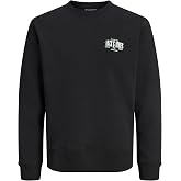 Jack &amp; Jones JJAERO Bisiklet Yaka Baskılı Sweatshirt, 12298492