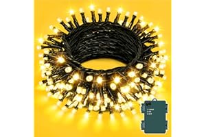 Dalugo Battery Powered Fairy Lights, 3M 30 LED Warm White Christmas Tree Lights with Timer, IP65 Waterproof String Lights Battery Operated for Indoor Outdoor Xmas Decorations(Green Wire)