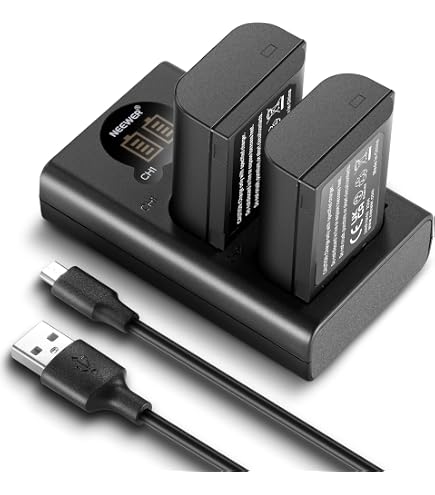 Batterie Pour Panasonic Lumix DC-G9 II, GH5, G9, GH5 II - 2250mAh 7,2V Neuve Originale