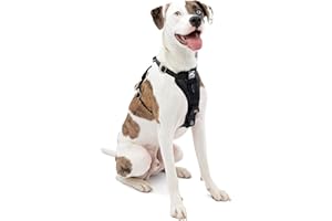 Kurgo Tru-Fit Hundegeschirr, Crash-Test-erprobtes Auto-Sicherheitsgurt, Für Hunde von 2 bis 5 kg, Größe M, Schwarz