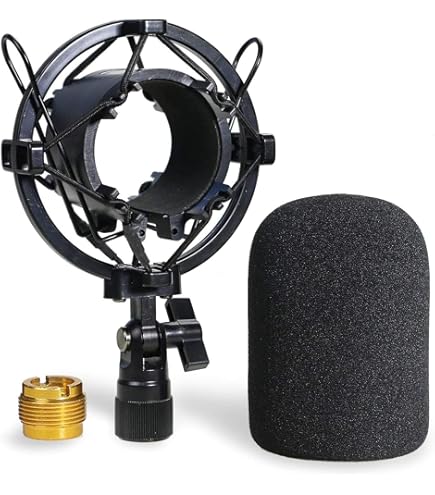 Audio-Technica AT2040USB Dynamic USB Microphone, Black : Amazon.in