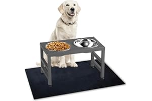 ADENGL Erhöhter Futternapf aus Metall, 25,4 cm hoch, erhöhter Futternapf, Ständer mit 2 Edelstahlnäpfen und 40,6 x 61 cm rutschfester Matte, stärkerer Futter- und Wassernapfständer für Hunde (grau)