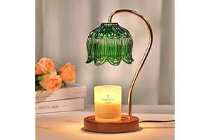 Funistree Dimmable Candle Warmer Lamp with Timer, Birthday Gifts for Women Mum Sister, Anniversay Presents for Her, Green Vintage Lamp Candle Warmer for Jar Candle