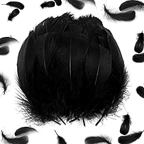 HaiMay Lot De 200 Plumes D'oie Noires Pour Loisirs Créatifs, Mariage, Maison, Fête, 15,2 à 20,3 Cm
