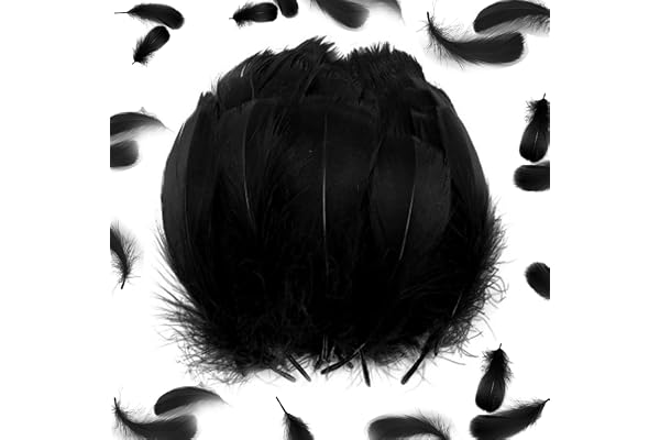 100 Pièces Plumes Noir, Plume d'oie Naturelle, Plume pour loisirs créatifs, Plumes Naturelles pour Christmas, Fete Mariage décoration de Boucles d'oreilles, Chapeaux,fête du Parti du Mariage
