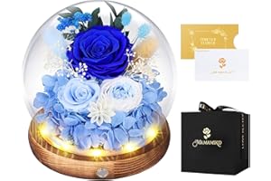MAMAMIKO Preserved Roses in Glass Dome with LED Light - Long Lasting Real Flowers, Forever Flowers for Special Moments, Flowers Roses for Valentines Day Gifts, Mothers Day, Birthday Gifts for Women, Blue