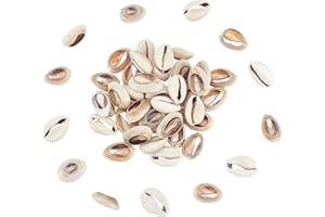 PH PandaHall 50pcs Perles de Coquillage Naturel, Spiral Cauris Coquillages Coquillage Cheveux Coquillages Artisanaux pour Bracelet Collier Bijoux, chapeau juju, Décor de fête