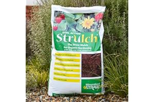 THOMPSON & MORGAN Strulch Mineralised Straw Garden Mulch - Natural Straw Mulch - Perfect as a Natural Slug & Snail Deterrent - Mulches for Gardens UK - 1x 100 Litre Bags by Thompson and Morgan (1)