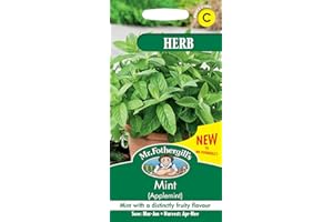 MR FOTHERGILL’S SEEDS LTD Mint (Applemint)