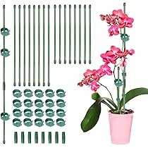100 Clip Per Piante Orchidee - Supporto Steli Verde 1.5cm, Riutilizzabili - Foto 5