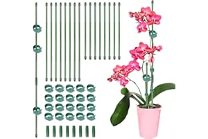 GEBETTER 16pz Bastoncini di Supporto Sostegno per Piante Rampicanti, 30cm e 20cm, Stecche Piante, Mini Tutori Verde Paletti per Fiori in Vaso Orchidee Pomodori