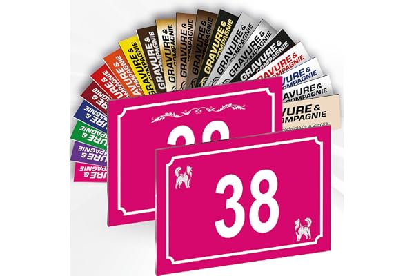 Numéro De Maison Déco Personnalisable – Plaque De Numéro De Rue PVC Extérieur - Logo Ou Motif Et Numéro Gravé – Fixation Adhésif Ou Trous Ou Cache Vis – 15 x 10 cm (Rose + Dessin)