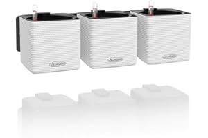 LECHUZA CUBE Color Green Wall Home Kit weiß 13398