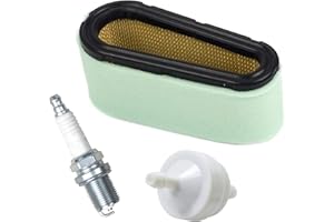 FGFGHRTS OXOXO 496894S 496894 Filtro de Aire 272403S 394358 Filtro de Combustible para Motores 282700 283700 12.5-17 HP