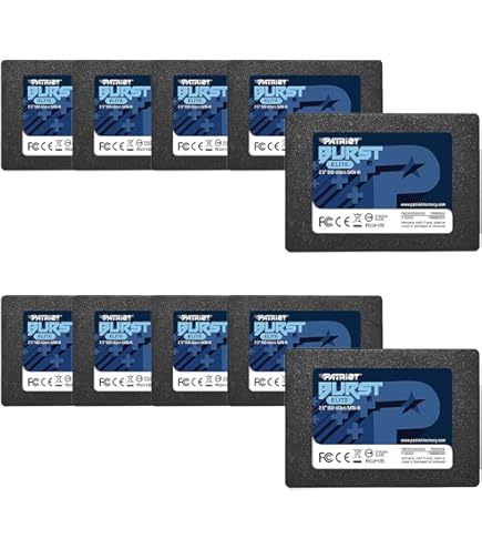 Patriot P210 SATA 3 512GB SSD, Internal Solid-State Drive, 2.5