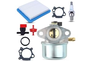 AUMEL 799868 Carburateur Set pour Briggs & Stratton avec bougie d'allumage filtre à air joint soupape universelle filtre à huile 498170 497586 497314 491588