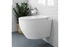 HOROW WC da parete in ceramica, con coperchio rimovibile, con abbassamento automatico, a forma di D, design compatto