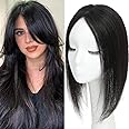Aimeolyn Hair Toppers for Women Real Human Hair,Hair Toppers for Women No Bangs Top Hair Extensions Hair Pieces for Thinning Hair Wiglets Upgrade Lace Base Premium Remy Hair Toppers 14inch