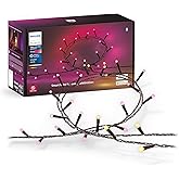 PHILIPS Hue White and Color Ambiance LED-strip Lightstrip Outdoor 24V, 5 meter kopen