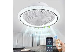MQW Ventilatore Da Soffitto Illuminazione A Led, Plafoniera A Ventola Invisibile Ruotabile A 360°, Dimmerabile 48w Con Lampada a Ventola Con Telecomando, Plafoniera Per Soggiorno, Sala Da Pranzo