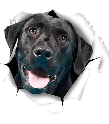 Autocollant Golden Retriever Effet 3D Déchiré - 15 Cm - Réfléchissant, Imperméable - Pour Voiture, Ordi, Frigo - Décoration Chien - 3