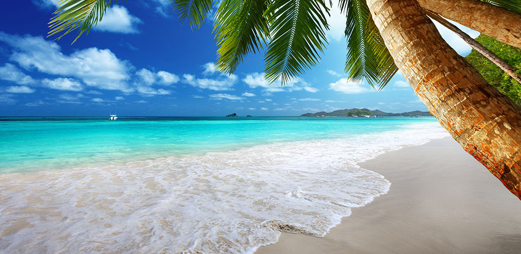 Beach Live Wallpaper Amazon.de Apps für Android