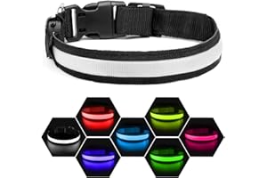 Nepfaivy Collare Luminoso per Cani Ricaricabile - Collare per Cani a Led con Lunghezza Regolabile, 3 Modalità di Illuminazione per la Sicurezza Notturna, Nero