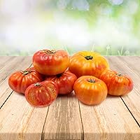 Tomato ''Ananas'' 25 x Samen aus Portugal 100% Natursamen ohne chemische Anzuchthilfen oder Gentechnik