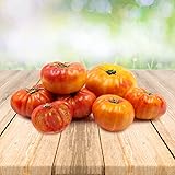 Tomato ''Ananas'' 25 x Samen aus Portugal 100% Natursamen ohne chemische Anzuchthilfen oder Gentechnik