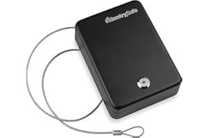 SentrySafe P005K Mini coffre-fort avec serrure à clé pour le bureau ou le dortoir, pour sécuriser l'argent, les passeports ou autres petits objets de valeur, extérieur 6,6 x 15,9 x 20,3 cm