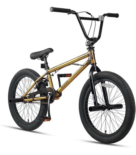 FIEND BMXバイク 20インチ　BMX Fiend 2020 Type O BMX Bike (20.5