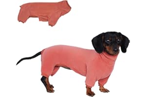 ESCCBOO Maglione a collo alto per bassotti – Abbigliamento invernale caldo e confortevole per il tuo dachshund (rosso, M)