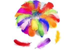 BSYFOP 200 PCS Feathers for Crafting, Coloured Feathers Feathers for Hats 8-12cm Natural Soft Feathers for DIY Earrings, Weddings, Dream Catchers, Headpiece Feathers, School Crafts