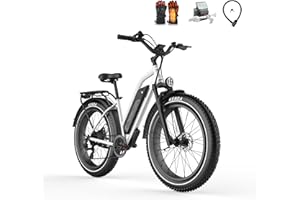‎HIMIWAY Himiway Cruiser E-Bike Herren Damen mit 250W Motor 25 Km/h, E-Mountainbike mit 48V 17,5Ah 840Wh Akku, 26" E-Fatbike für Erwachsene bis zu 96 Km, Elektrofahrräder mit 7-Gang-Kettenschaltung