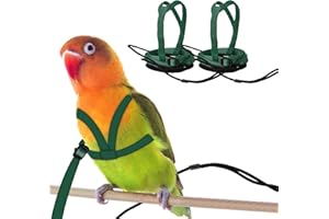 CQJ 2 pcs Pet Parrot Bird Harness and Leash, Adjustable Training Design Anti-Bite, Outdoor Flying Training Rope Kit for Bird Parrots Fits Birds Chest Between46-76cm /18.11-29.92inch (green, M)