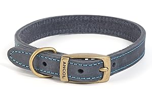 Ancol Timberwolf Dogs Leather Collar Blue Size 1, To Fit Neck 20-26 cm, Collar Width 1.6 cm