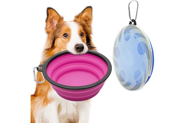 2-pack stor hopfällbar hundskål, 1 000 ml/37 oz vikbar hund reseskålar, bärbar hund vattenmatskål med karbinhake, husdjur kat