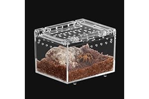 Jortmrd Terrarium Schnecken Mini Terrarium Spinne Reptil Fütterungsbox, Springspinne Terrarium Reptilien Fütterungsbox Geeignet für Insekten, Käfer (10x8x7cm)