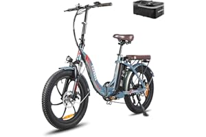 Fafrees Bicicleta Eléctrica F20 Pro, Bicicleta Eléctrica Plegable 20 Pulgadas Unsex Adulto, 250W Bicicleta Urbana Eléctrica, Batería 18Ah, Power Assist 120km