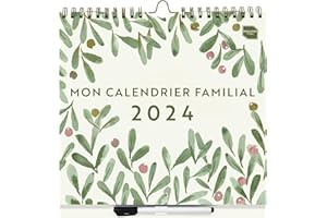 Boxclever Press Mon Calendrier 2024 mural à 6 colonnes. commence maintenant jusqu'à déc.'24. Organisateur familial avec listes, poches et autocollants.