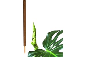 BigDean Pflanzstab Kokos 110 cm - Monstera Rankhilfe Rankstab Stab Moosstab Pflanzenstab Kokosstab für Pflanzen - aus natürlicher Kokosfaser - verlängerbar