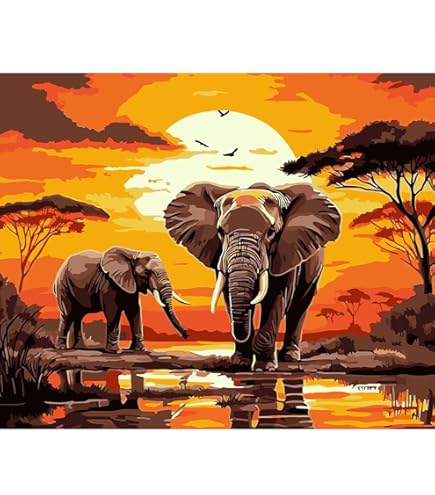 Schilderen op nummer voor volwassenen, champagne-rozen, doe-het-zelf schilderen op nummer, set met acrylpenselen en kleuren, decoratie voor thuis, 60 x 80 cm, zonder lijst, b-646
