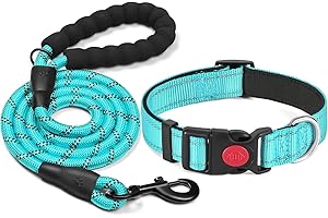 BAYNOS Set guinzaglio e collare per cani taglia piccola media o grande realizzato in neoprene traspirante regolabile elastico resistente e luminoso (Celeste, M - 39-47cm)