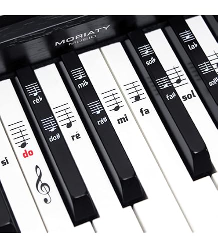 Bontempi | KeyRhythm - Clavier Piano Numérique 37 Touches, Hauteur 2 cm avec Prise Casque, Bande Pentagrammée, Métronome et Transpositeur, 53.4x19.9x6.9 cm Bontempi | KeyRhythm - Clavier Piano Numérique 37 Touches, Hauteur 2 cm avec Prise Casque, Bande Pentagrammée, Métronome et Transpositeur, 53.4x19.9x6.9 cm