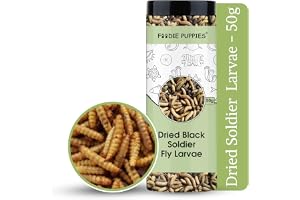 Foodie Puppies Dried Black Soldier Fly Larvae 50gm - Fish Food for Bettas, Tetras, Arowana, Flowerhorn, Oscar, Blood Red Parrot and Other Reptiles (Pack of 1)
